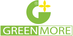 thiết kế cảnh quan đẹp hà nội